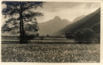 Dateiname=1921b_Spezial.JPG
Dateigröße=80KB
Abmessungen: 796x500
hinzugefügt am: 07. September 2014 1921b_Spezial.JPG
