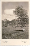 Dateiname=1941_Spezial.JPG
Dateigröße=202KB
Abmessungen: 540x828
hinzugefügt am: 13. Juni 2012 1941_Spezial.JPG