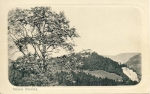 Dateiname=1902_Strechau.JPG
Dateigröße=108KB
Abmessungen: 822x520
hinzugefügt am: 19. Juni 2009 1902_Strechau.JPG