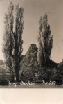 Dateiname=1961_Strechau.JPG
Dateigröße=85KB
Abmessungen: 504x822
hinzugefügt am: 23. Juli 2010 1961_Strechau.JPG